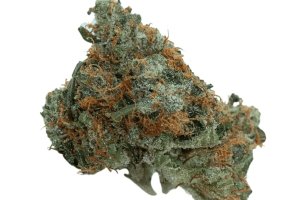 bava med 21/1 ZES-PU